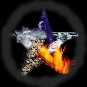 Meet your Posher, Cami